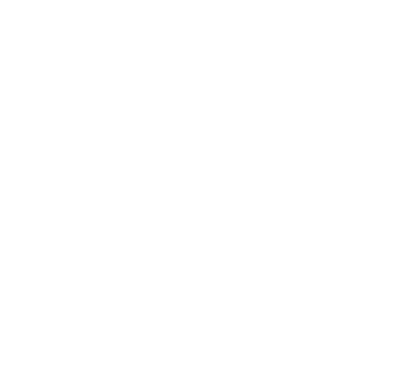 Nsp