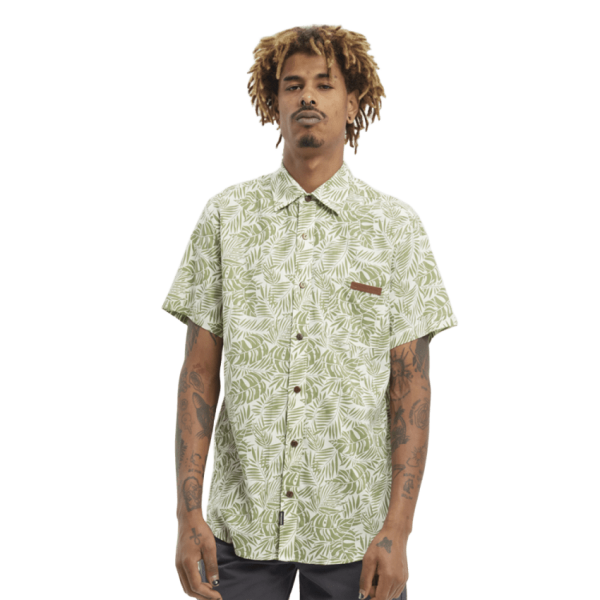 Hydroponic Fern white green camisa