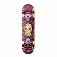 Hydroponic Mexican Skull purple 8.125" skateboard completo
