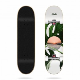 Aloiki Coast 7,6'' Skateboard completo