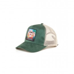 Hydroponic Dragon Ball Z Kame Sennin moss green/sand gorra