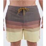 Hurley Phantom Naturals Sessions 16" hazelnut bañador