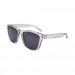 Santa Cruz Coastal grey/black gafas de sol