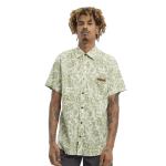 Hydroponic Fern white green camisa
