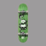 Hydroponic Snake verde 7,875'' skateboard completo