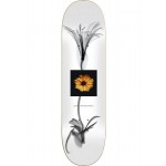 Jart X Ray 8,25" tabla de skateboard